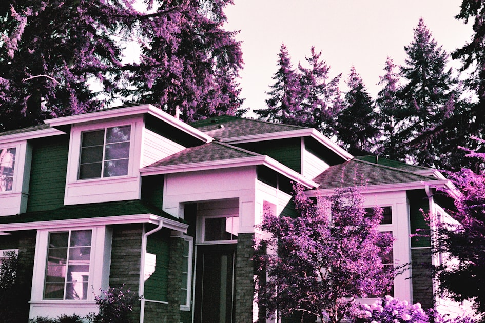 Investing in Real Estate: A Guide